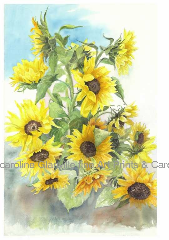 sunflowers, painting by Caroline Glanville